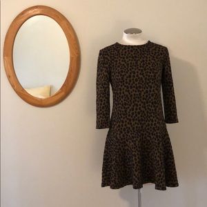 Loft Cheetah Print Dress